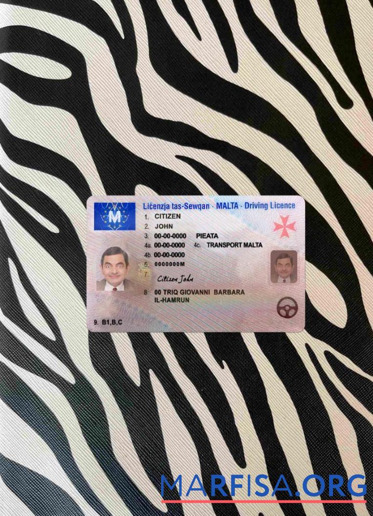 Blank Malta driving license photolook template